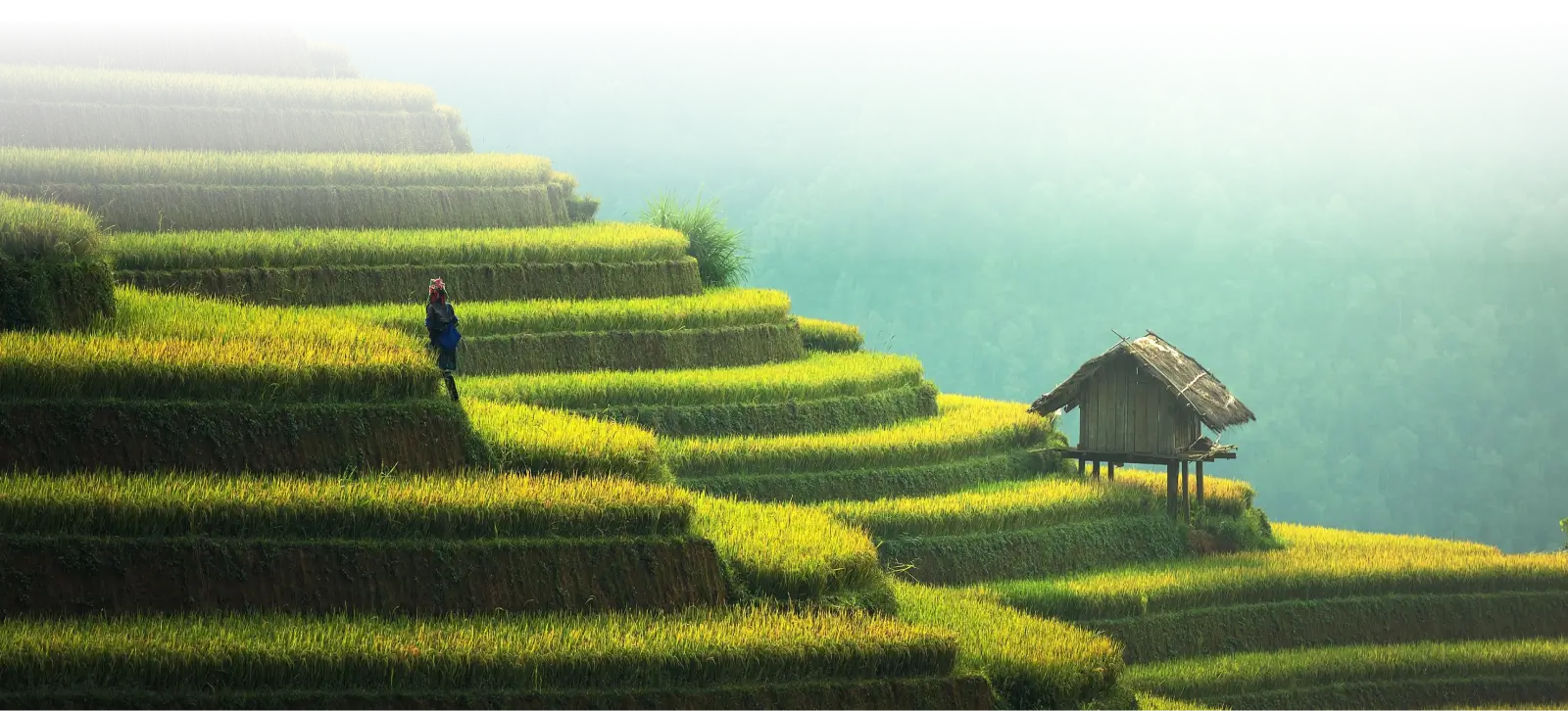 vacanza in Vietnam