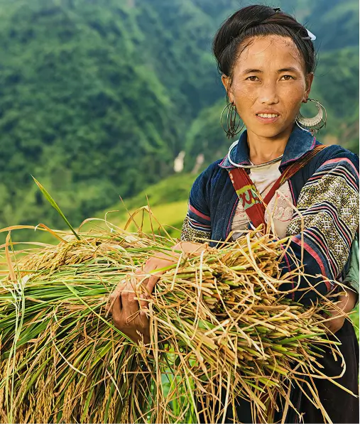 viaggio in Vietnam