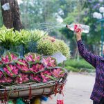 hanoi vietnam
