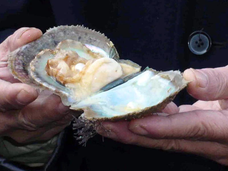 Perle de Halong