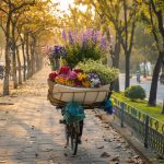 viaggio a hanoi