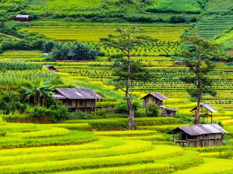 Guida di viaggio a Yen Bai, gioiello del Nord-Ovest del Vietnam