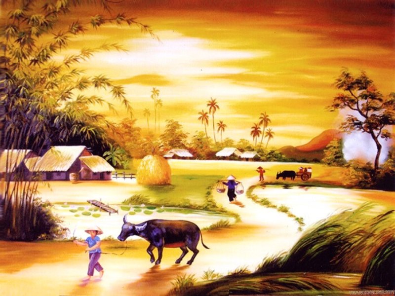 Bufalo-vietnamita
