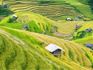 Viaggio in Vietnam – Tutto quello che c’è da sapere