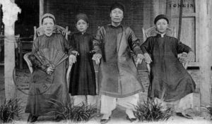 Feminile-vietnamite