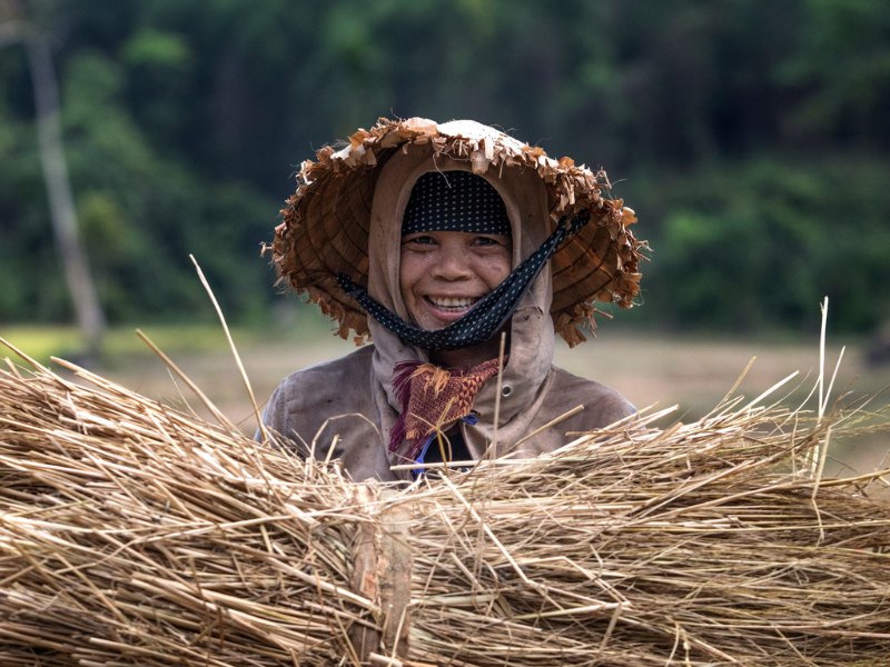 La donna vietnamita nella famiglia