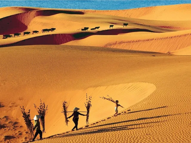 Mui ne 1