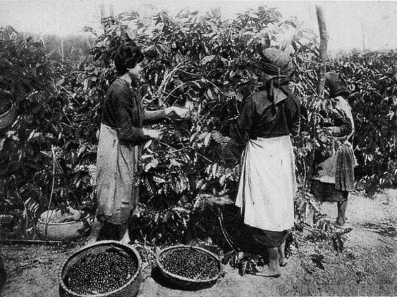 historia-di-caffe