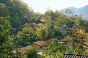 thien huong dong van