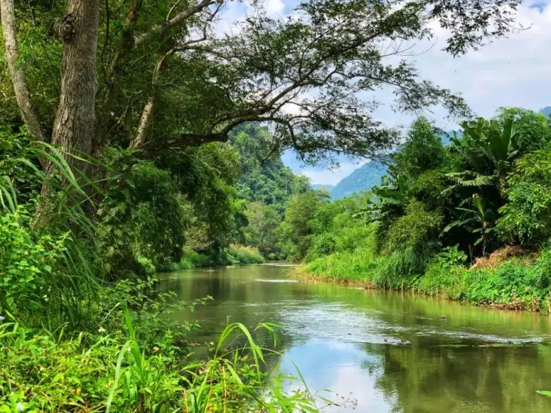 Il fiume Leng e la foresta circostante