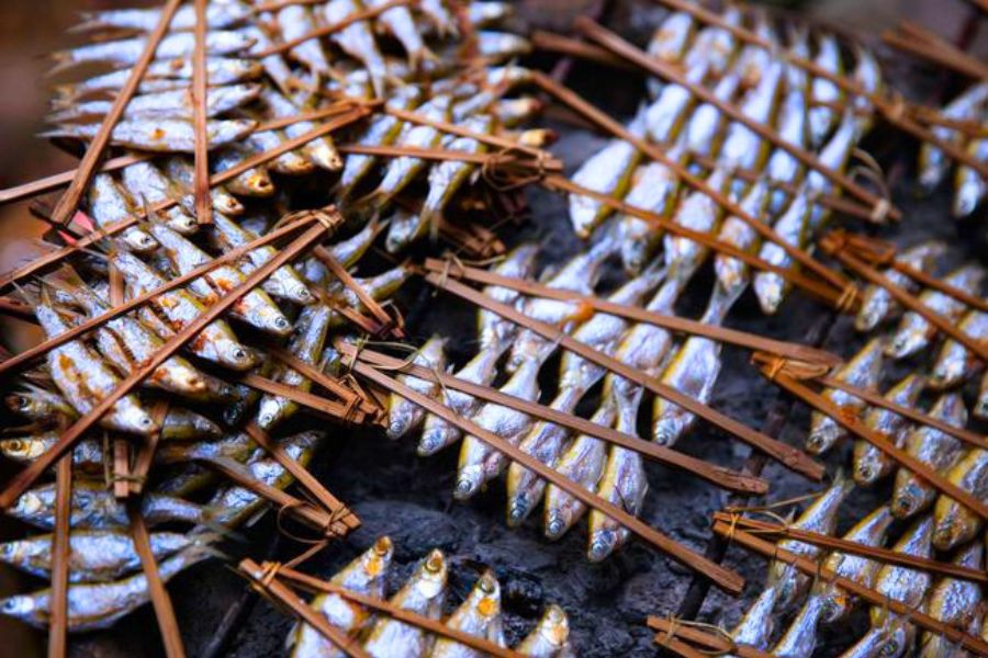 Pesce alla griglia