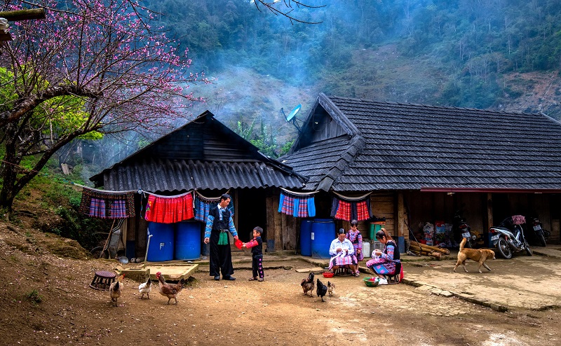 bac-ha