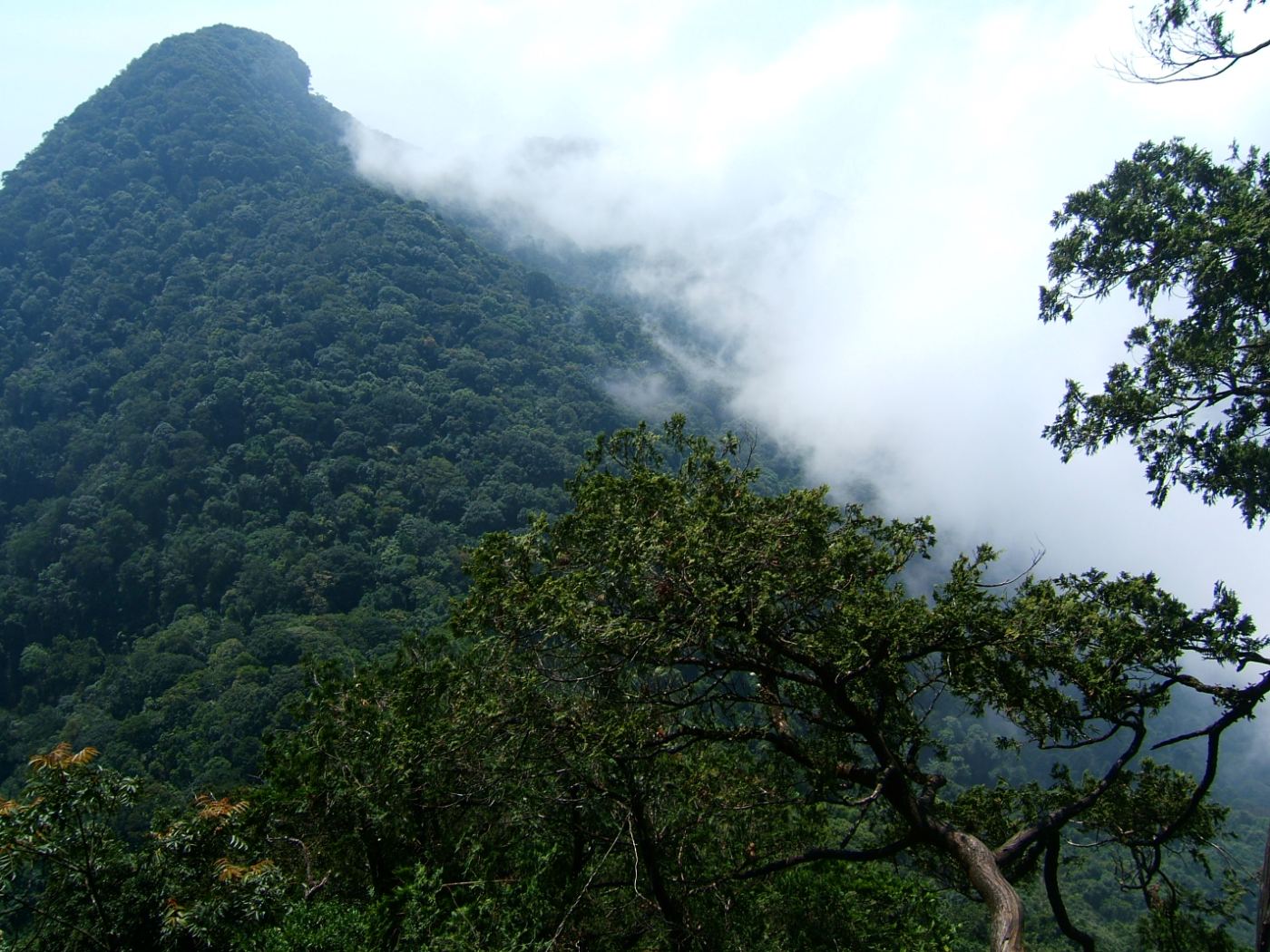 montagna-ba-vi