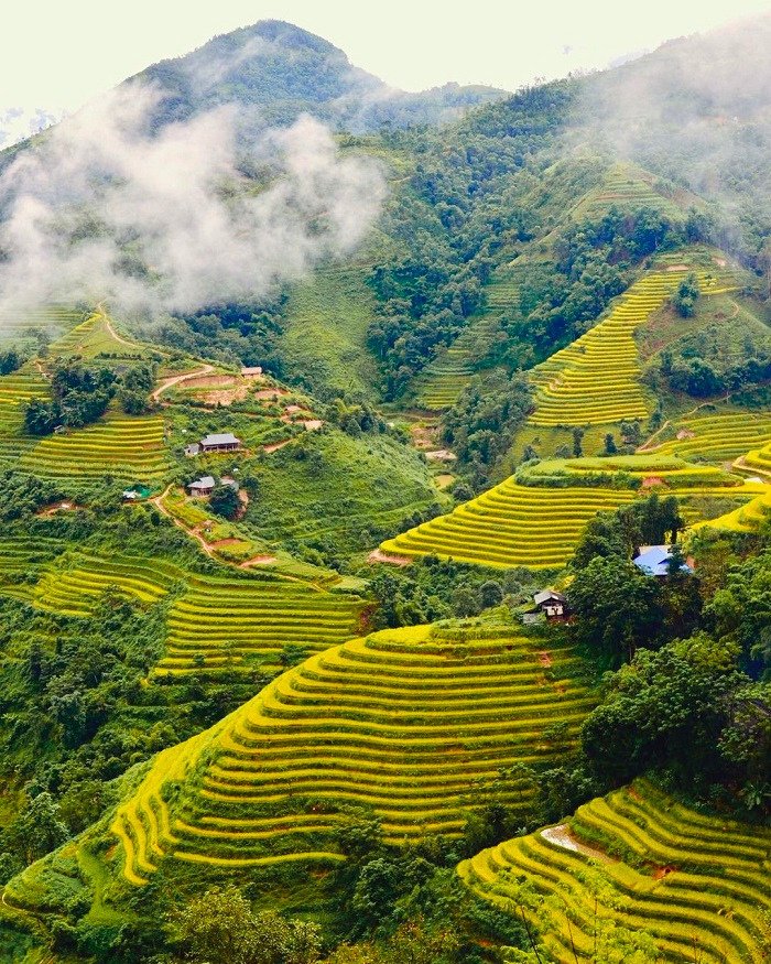 Ban-Luoc-Hoang-Su-Phi
