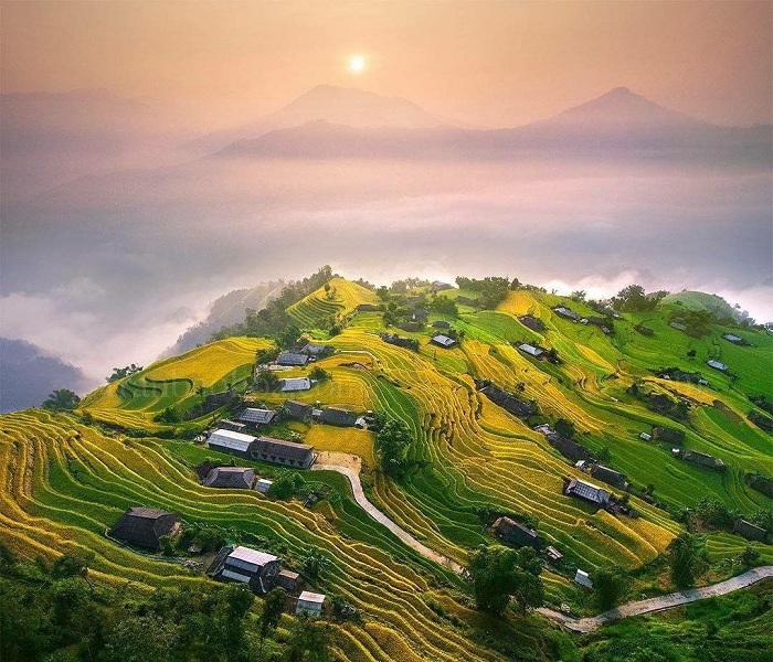 Ban-phung-hoang-su-phi 