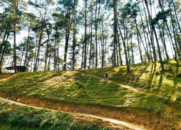 foresta-yen-minh 