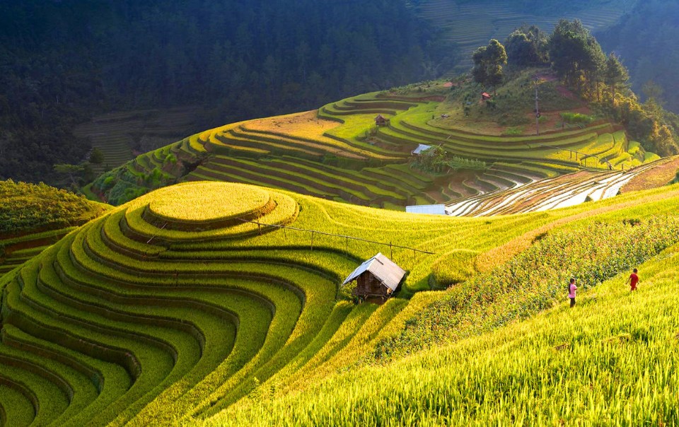 Ho-Thau-Hoang-Su-Phi