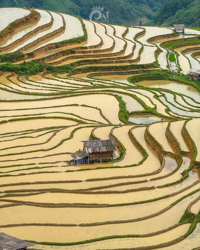 Hoang Su Phi 3