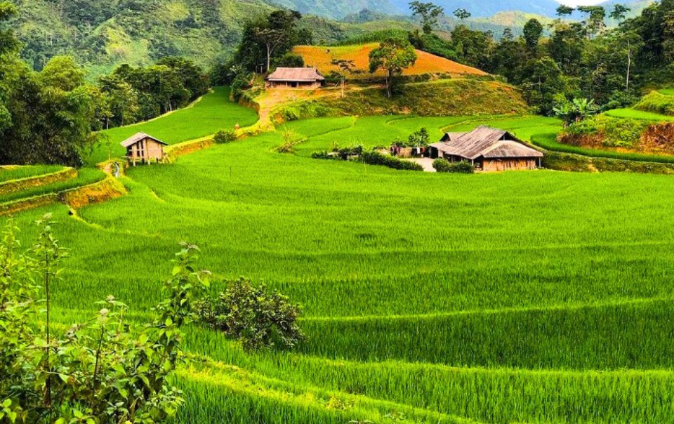 Nam-Ty-Hoang-Su-Phi